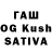Каннабис OG Kush Tini Yatra