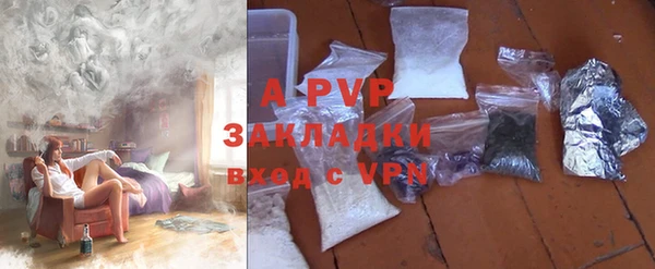 шишки Горняк