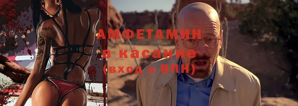 шишки Горняк