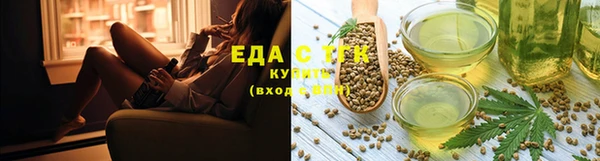 шишки Горняк