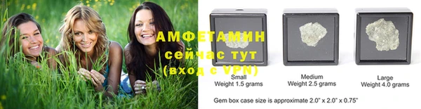 шишки Горняк