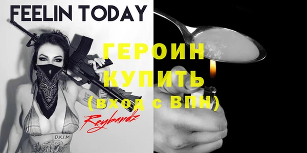 шишки Горняк