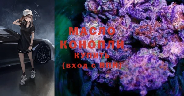 шишки Горняк