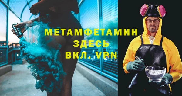 шишки Горняк