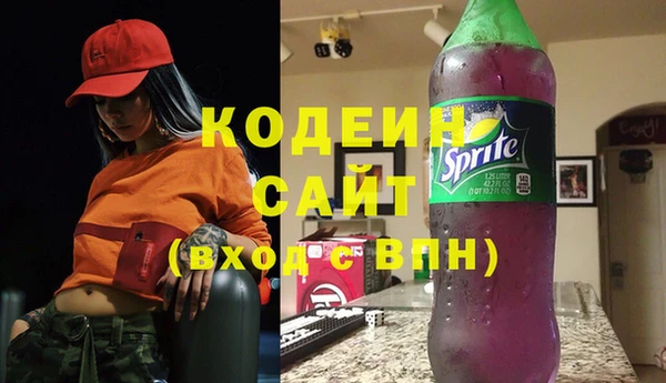 шишки Горняк