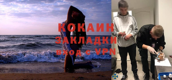 шишки Горняк