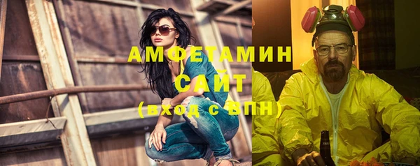 шишки Горняк