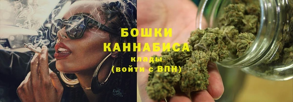 шишки Горняк