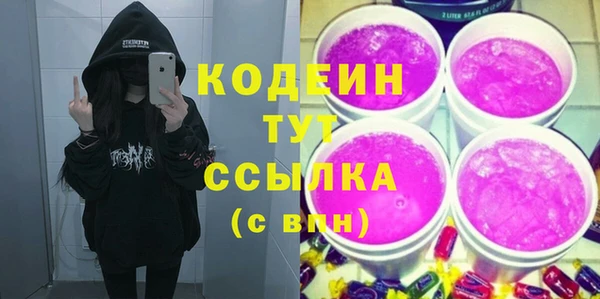 шишки Горняк