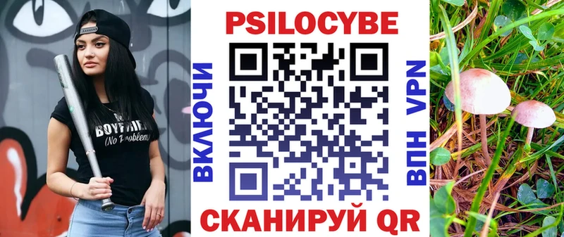 Галлюциногенные грибы Psilocybine cubensis  Купить закладки  Александровск-Сахалинский 