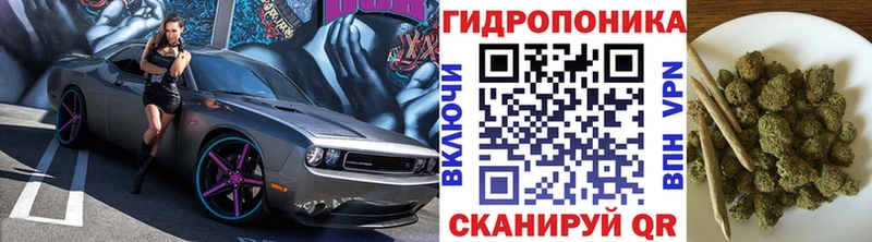 Купить где  Александровск-Сахалинский  Каннабис сатива 